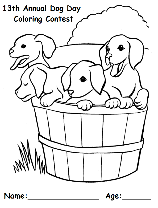 coloring contest front