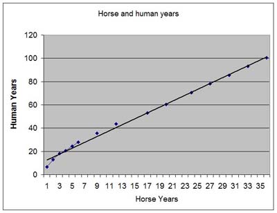 Miniature Horse Weight Chart