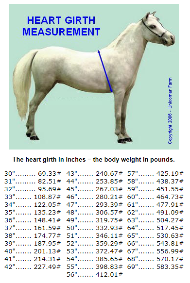 Miniature Horse Weight Chart