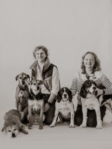 Maddy and Mare with five Dogs