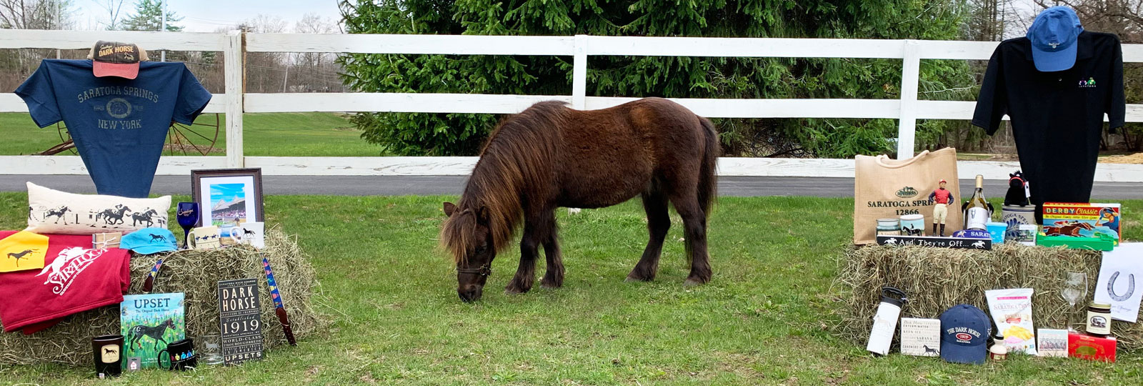 Horse standing next to collection of Saratoga themed products from Impressions of Saratoga