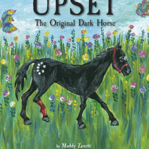 Upset The Original Dark Horse Book