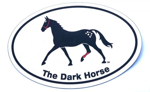Large Oval Dark Horse Car Magnet