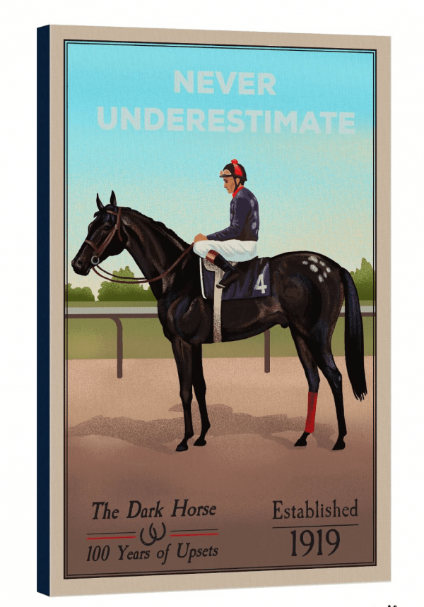 Never Underestimate Stretch Canvas