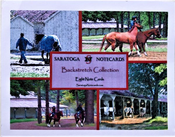 Assorted Boxed Saratoga Notecards - Image 3
