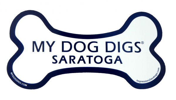 My Dog Digs Saratoga