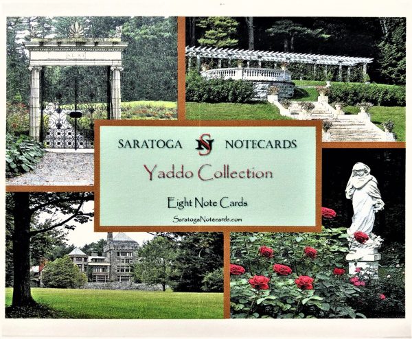 Assorted Boxed Saratoga Notecards - Image 4