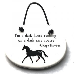 Dark Horse Running on a Dark Course Disk