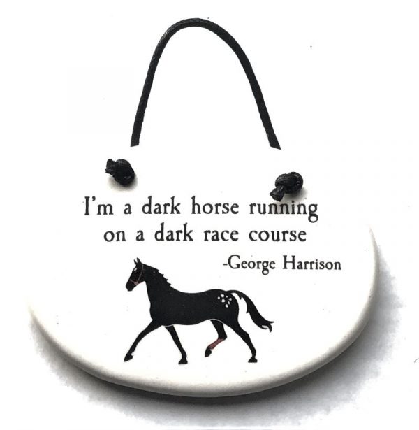 Dark Horse Running on a Dark Course Disk