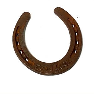 Good Luck Horseshoe