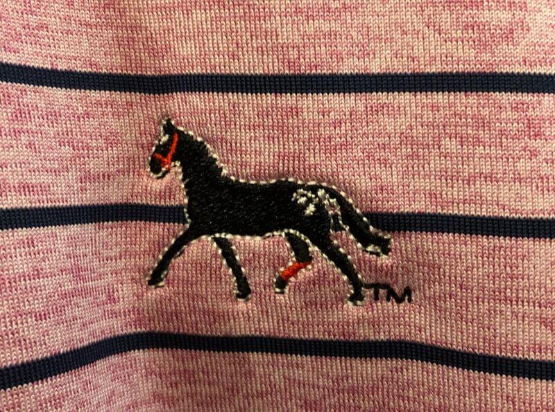 Men's Under Armour Dark Horse Tour Stripe Polo - Impressions of Saratoga