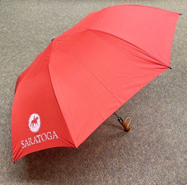 Saratoga Umbrella - Image 2