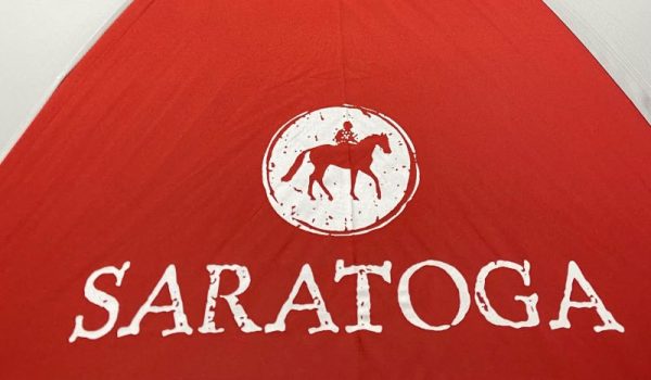 Saratoga Umbrella - Image 5