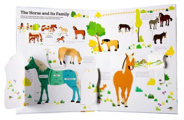The Ultimate Book of Horses - Image 4