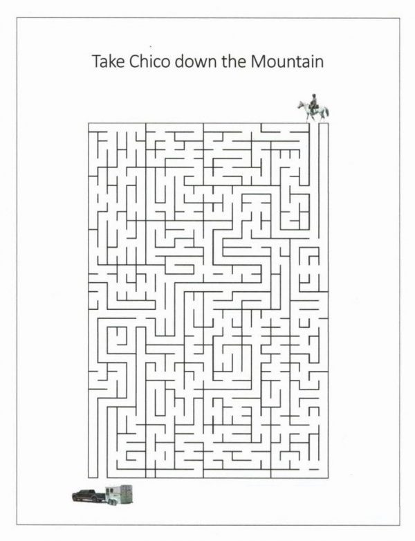 The Dorset Equine Rescue Coloring & Activity Book - Image 3