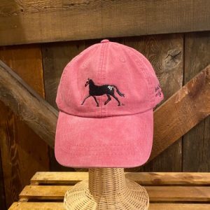 Baseball cap- Dark Horse- Nantucket red- unisex
