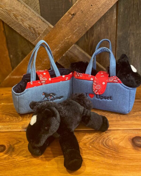 Upset Pony & Carrier