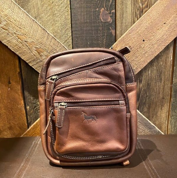 Brown leather backpack bag-3 zippers- dark horse logo on front