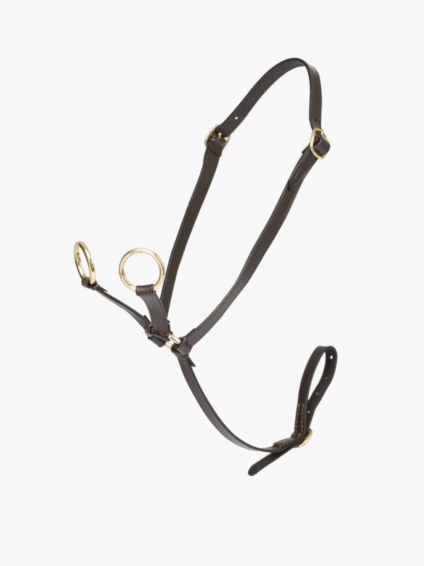 LeMieux Toy Pony Brown Racing Martingale